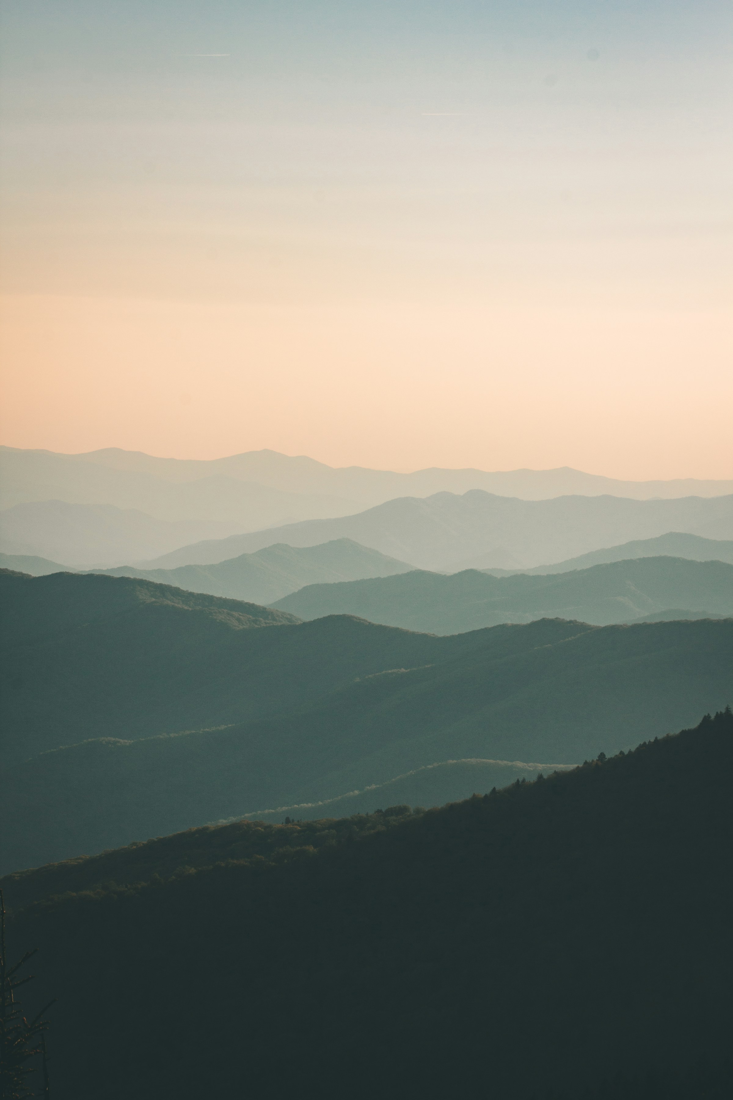 A quiet, expansive natural landscape